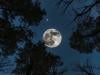 Cold Moon 4 Desember 2025: Fenomena Alam Penutup Tahun yang Wajib Dinantikan!