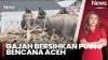 Empat Gajah Dikerahkan Buka Jalan Cari Korban Banjir Bandang Aceh