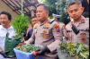 Terungkap! Tersangka Ganja Hidroponik di Jombang Panen Rp13 Juta, Bibit dari Luar Negeri