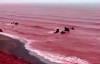 Viral, Pantai di Iran Berubah Menjadi Merah seperti Lautan Darah