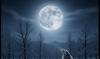 Keajaiban Alam, Fenomena Wolf Moon Bakal Hiasi Langit Indonesia 3 Januari 2026