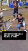 Detik-Detik Menegangkan Evakuasi King Kobra Terjebak di Mobil