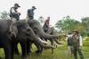Menhut Turun Tangan, Koridor Gajah Sumatra di Riau Segera Tersambung Kembali