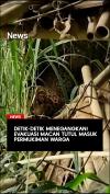 Detik-Detik Menegangkan! Evakuasi Macan Tutul Masuk Permukiman Warga