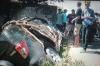 Kecelakaan Mobil Pemudik asal Jakarta Terguling Masuk Sawah di Bantul, 1 Tewas 7 Luka