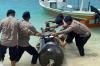 Heboh! Benda Mencurigakan Mirip Torpedo Ditemukan di Perairan Gili Trawangan