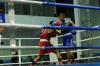 Bukan Sekadar Tinju! Piala Danlanud 2026 Ubah Belitung Jadi Magnet Wisata Olahraga