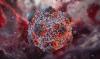 Apa Itu Hantavirus? Virus Mematikan yang Gegerkan Dunia!
