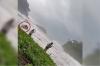 Terekam Video! Wisatawan Tewas Terseret Ombak saat Cari Spot Foto di Pantai Madasari