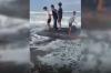 Hiu Tutul Sepanjang 6,5 Meter Mati Terdampar di Pantai Kenari Cilacap