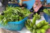 Dukungan BRI Bantu KWT Mawar 8 Jaga Mutu Panen, Sayuran Makin Berkualitas