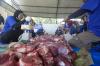 29 Ekor Sapi Kurban Dipotong untuk 3.000 Penerima Manfaat - Bagian 2