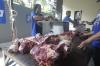 29 Ekor Sapi Kurban Dipotong untuk 3.000 Penerima Manfaat - Bagian 4