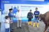 BRI Group Distribusikan Lebih dari 5.000 Hewan Kurban di Berbagai Daerah Indonesia 