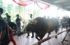 Idul Adha, Masjid Istiqlal Salurkan 10.728 Bungkus Daging Kurban Isi 1 Kg per Paket