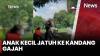 Bocah Terpeleset Masuk ke Kandang Gajah Ragunan, Orang Tua Diingatkan Lebih Waspada Dampingi Anak
