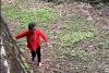 Viral Bocah Masuk Kandang Gajah, Ragunan Curiga demi Konten 