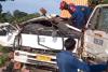 Pohon Tumbang Timpa Truk Kontainer di Karawang, Sopir dan Penumpang Tewas