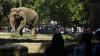 Jadi Tempat Wisata Favorit, Ragunan Dikunjungi Ribuan Orang - Bagian 2