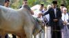 Usai Salat Idul Adha, Presiden Jokowi Serahkan Sapi 1,4 Ton - Bagian 1