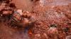 Ada Festival Tomatina, Kota di Spanyol Dibanjiri 160 Ton Tomat - Bagian 4