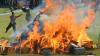 Polres Aceh Besar Bakar 806 Kilogram Ganja Kering - Bagian 1