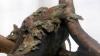 74 Ekor Anak Komodo Lahir di Kebun Raya Surabaya - Bagian 5