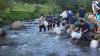 Peduli Lingkungan, Bank BRI Lepas 10.000 Bibit Ikan di Sungai Cikole - Bagian 2