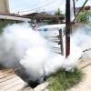  15 Warga Terkena DBD, Dinkes Fogging Satu Dusun di Galur 