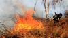 Kebakaran Hutan dan Lahan di Aceh Seluas 99 Hektare - Bagian 2