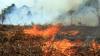 Kebakaran Hutan dan Lahan di Aceh Seluas 99 Hektare - Bagian 3