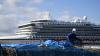 Ini Kapal Pesiar Diamond Princess yang Dikarantina, 3 WNI Positif Virus Korona - Bagian 2