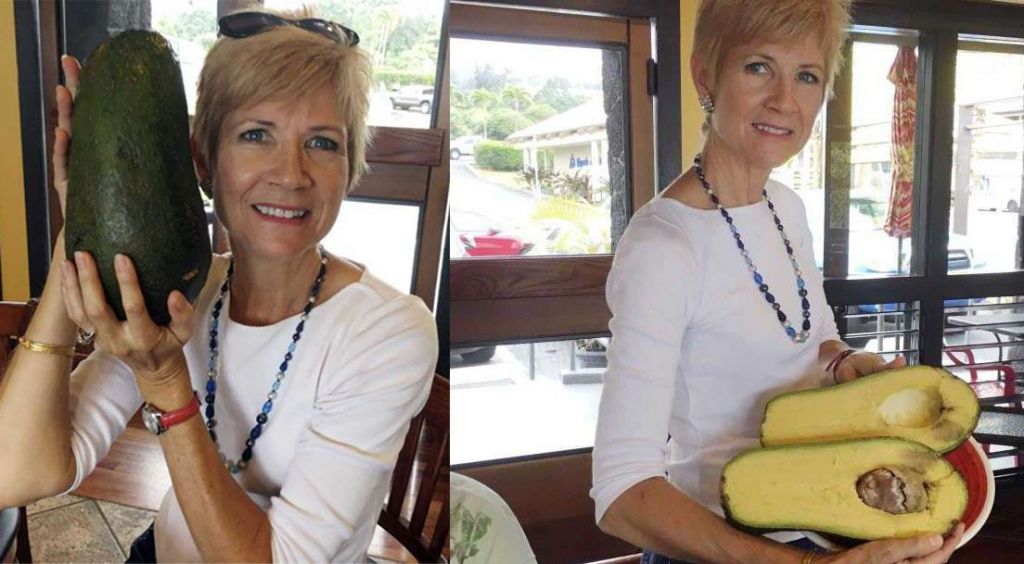 Buah Alpukat Terbesar di Dunia, Seperti Ini Bentuknya