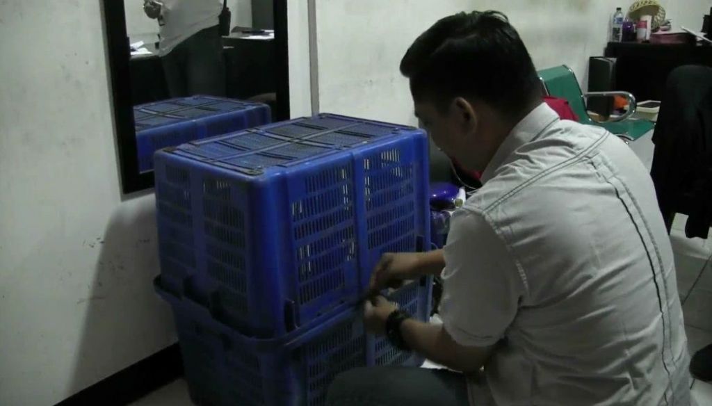 Jenazah Pelukis Tewas Dililit Ular Sanca Dibawa Pulang dari RSCM