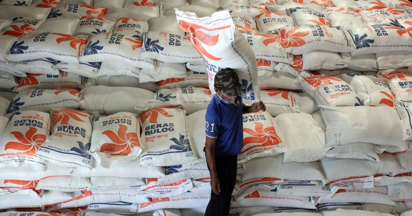 Serapan Beras Belum Optimal, Bulog Diharapkan Bisa Tentukan HPP GKP