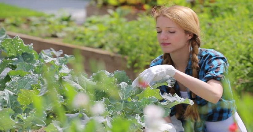 5 Makanan Sehat Pencegah Kanker