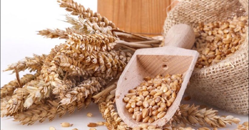 Indonesia Akan Jadi Importir Gandum Terbesar di Dunia