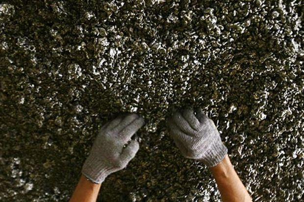 Pemerintah Segera Tuntaskan Holding BUMN Pertambangan