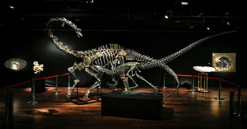 2 'Dinosaurus' Dijual di Prancis, Ada yang Mau?