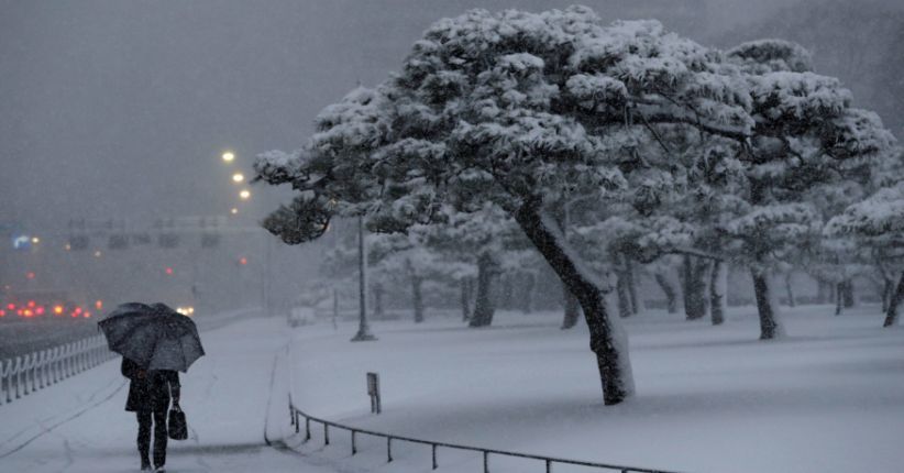 Badai Salju di Tokyo, Pesawat Delay dan Perjalanan Kereta Terganggu