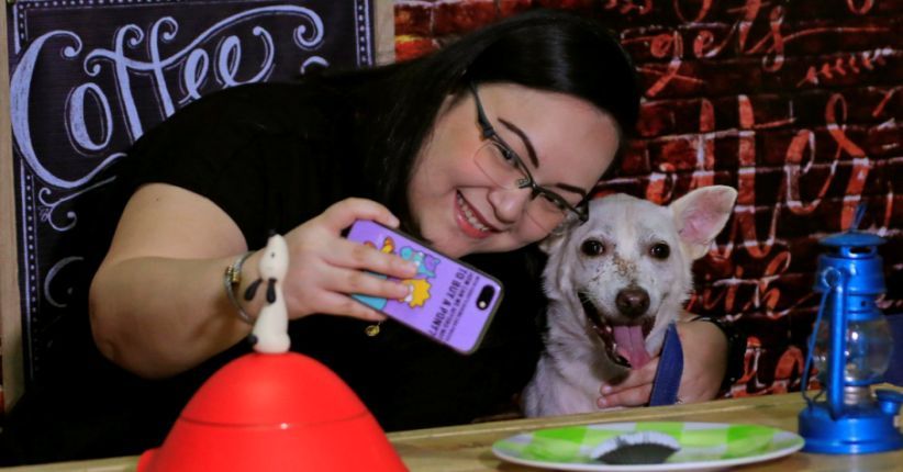 â€˜Kencanâ€™ dengan Anjing di Valentine, Kenapa Tidak?