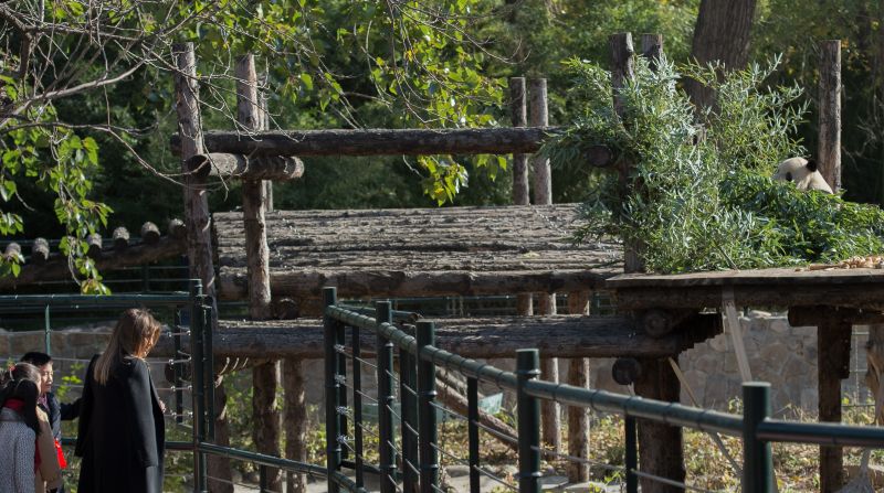 Donald Trump Tinggalkan China, Melania Asyik dengan Panda