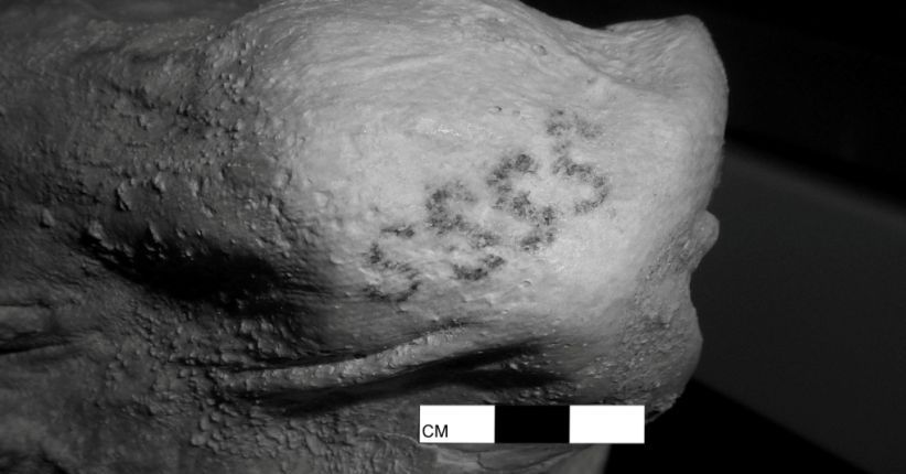 Ini Tato Tertua di Dunia Berusia Ribuan Tahun, Ada di Tubuh 2 Mumi