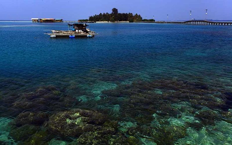 5 Pulau di Kepulauan Seribu Mulai Tercemar, Diduga dari Limbah Pertamina