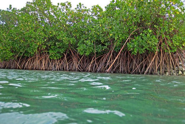 Tujuh Spot Wisata  Hits di Indonesia, Destinasi Anak Milenial