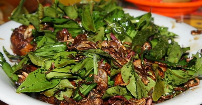 Aceh Gudangnya Makanan Enak, Sate Matang hingga Ayam Tangkap 