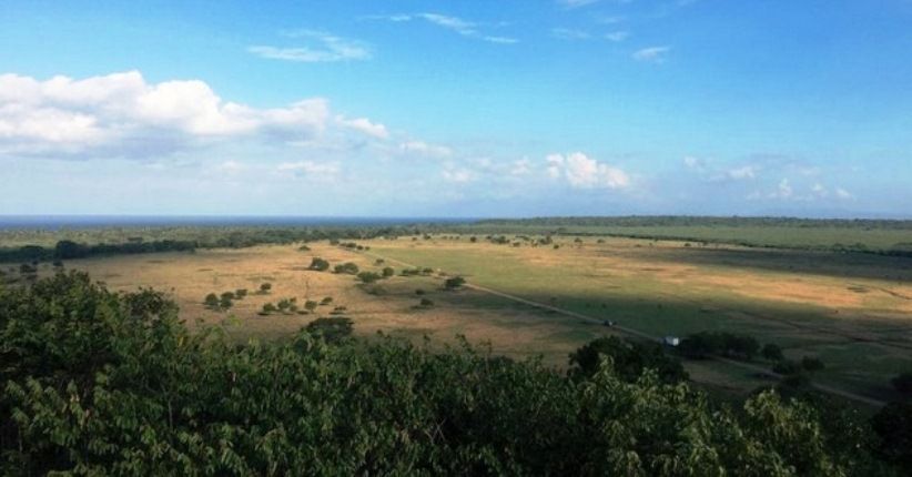 Serunya Menjelajahi Taman Nasional Baluran yang Mirip Afrika