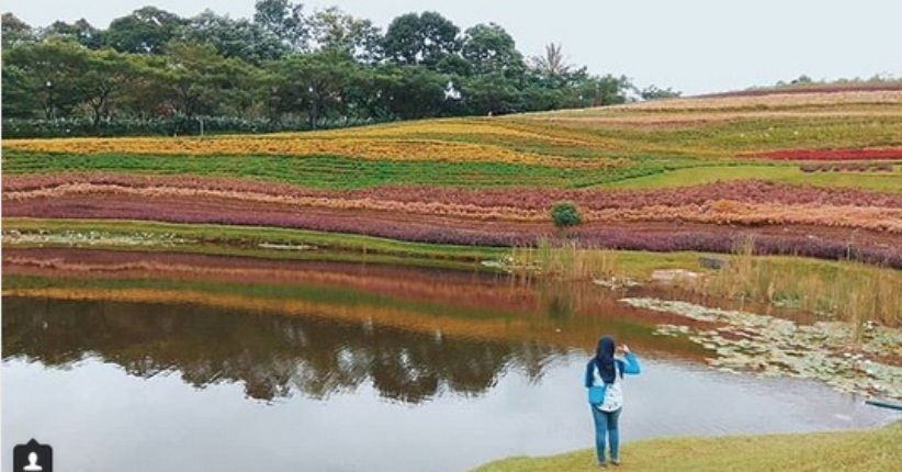 5 Destinasi Instagramable Bogor, Bukit Teletubbies seperti Luar Negeri