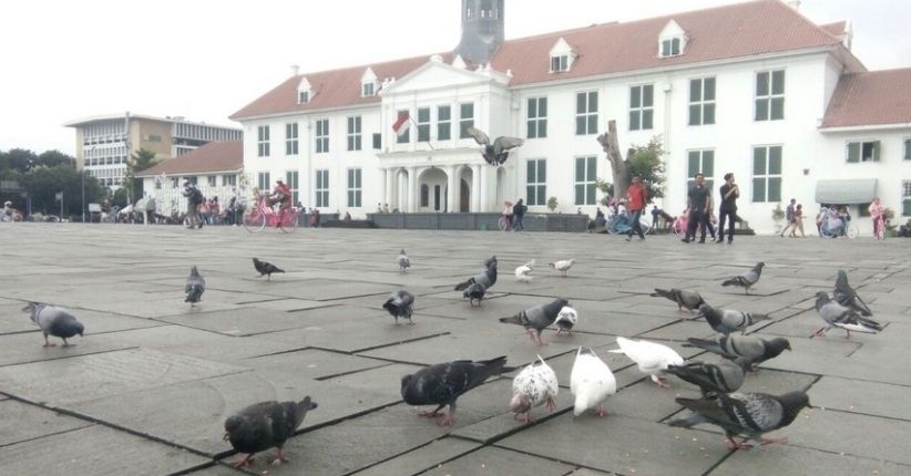 Pemandangan Burung Merpati di Kota Tua, seperti Wisata di Luar Negeri