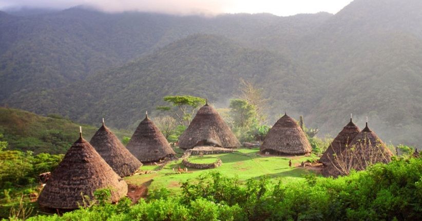 5 Wisata Populer di Indonesia, Lihat Hewan Purba dan Pantai Pink